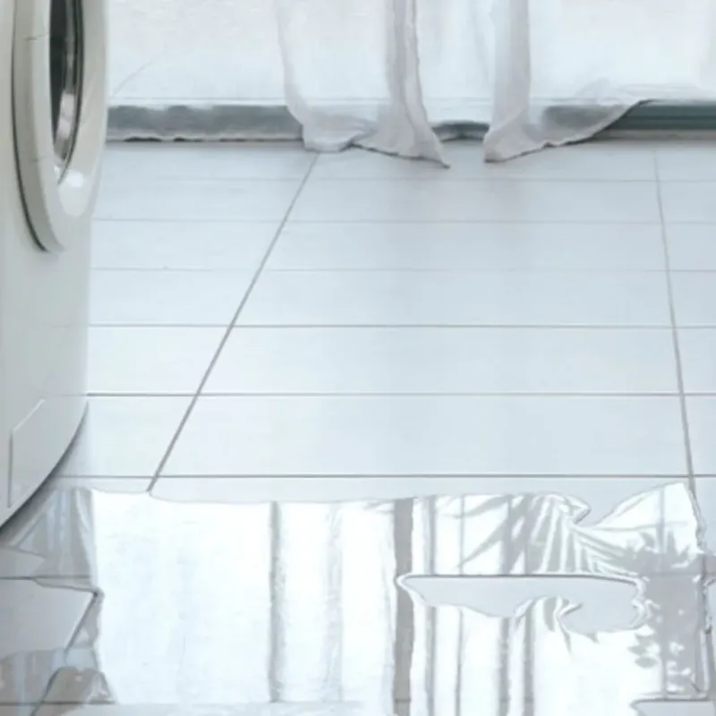 Appliance Leak Cleanup in Welcome, SC